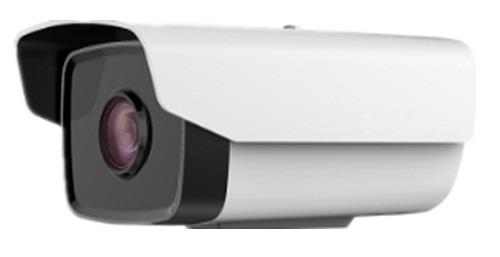 Camera IP hồng 1.0 Megapixel HDPARAGON HDS-2010IRP3